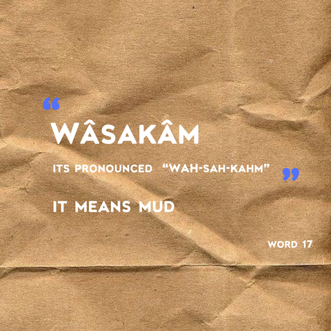 Wâsakâm