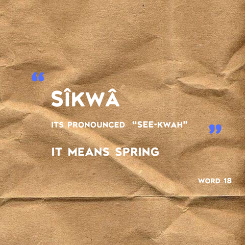 Sîkwâ