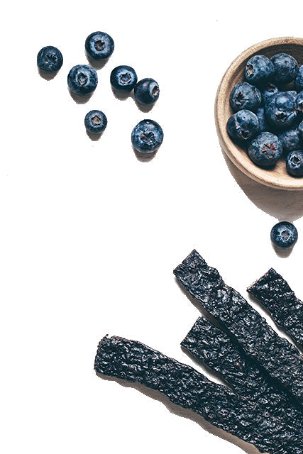 Pemmican Strips - Maple Blueberry
