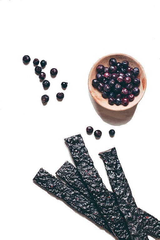 Pemmican Strips - Maple Saskatoon Berry 23g