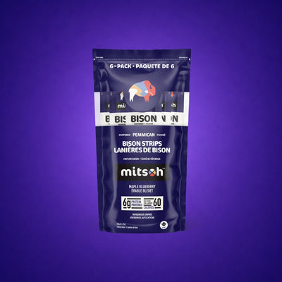Peppered Blueberry Bison Pemmican 6-pack pouch on a deep purple background